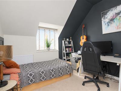 Picture 17